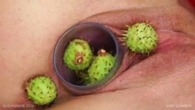 best of Sex in pussy cactus story