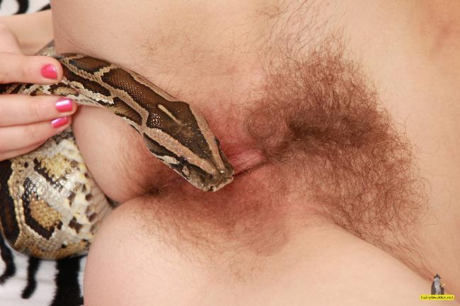 Chuckles reccomend nude snake licking pussy